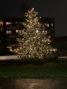 Read more about the article Der Weihnachtsbaum steht!